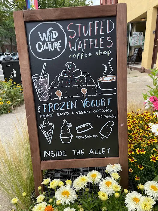 Wild Culture Waffles and Frozen Yogurt Picture 10
