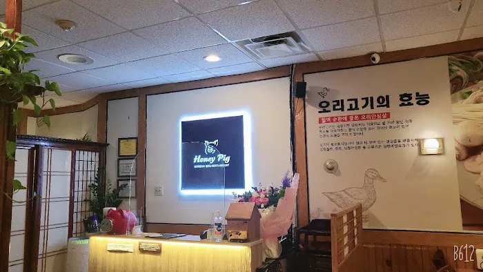 Honey Pig Picture 7