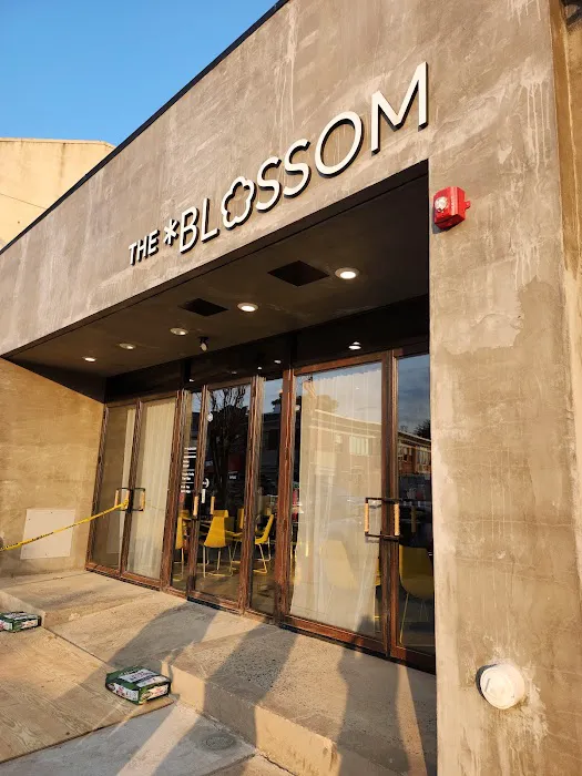 THE BLOSSOM Picture 6