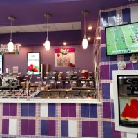 Yo-Delight Frozen Yogurt ico