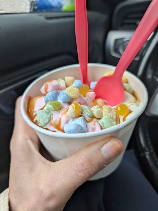 Yo-Delight Frozen Yogurt Picture 9