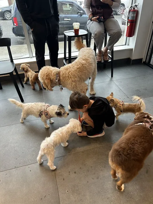 Annie's Social Picture 7
