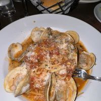 Trattoria 35 ico