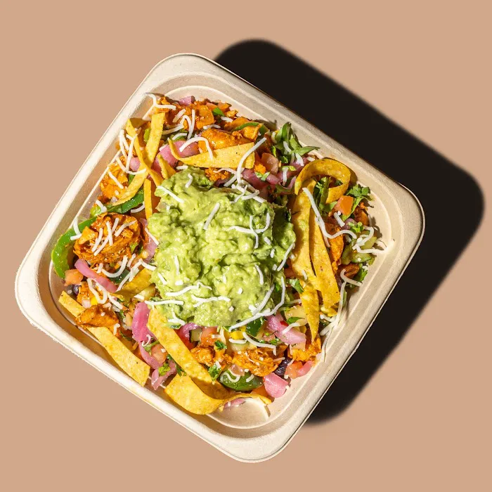 Moho Mexican Grill Picture 7