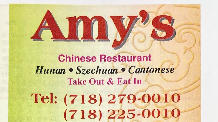 Amy's Chinese Restaurant Picture 8