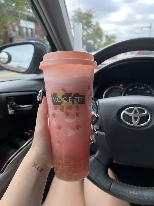 Möge Tee Bayside Picture 2