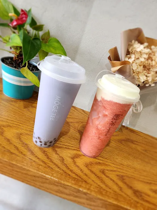 Möge Tee Bayside Picture 7