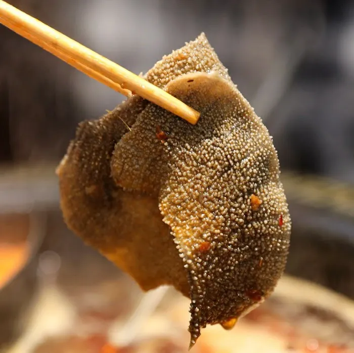 川友道串串火锅Chuan You Dao Skewer Hot Pot Picture 10