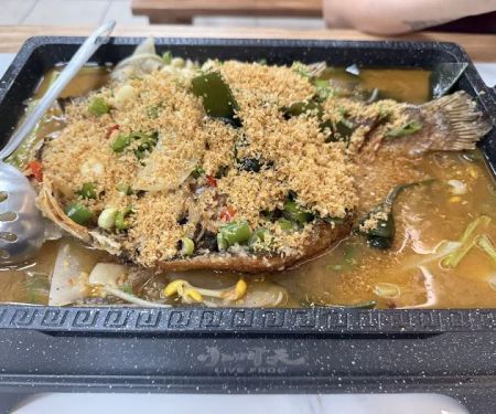 u5c0fu53ebu5929live frog - u5dddu6e58u70e4u9c7cu70e4u86d9 Sezchuan grilled fish & frog