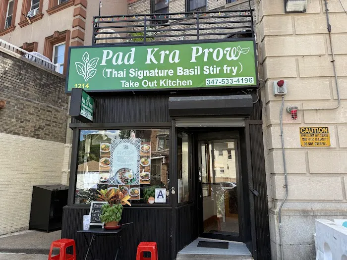 Pad Kra Prow Thai Takeout Picture 5