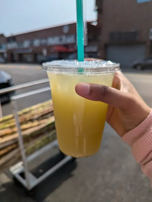 Ganny ka Juice گنے کا شربت Sugarcane Juice Cart, Brooklyn, Newyork Picture 6