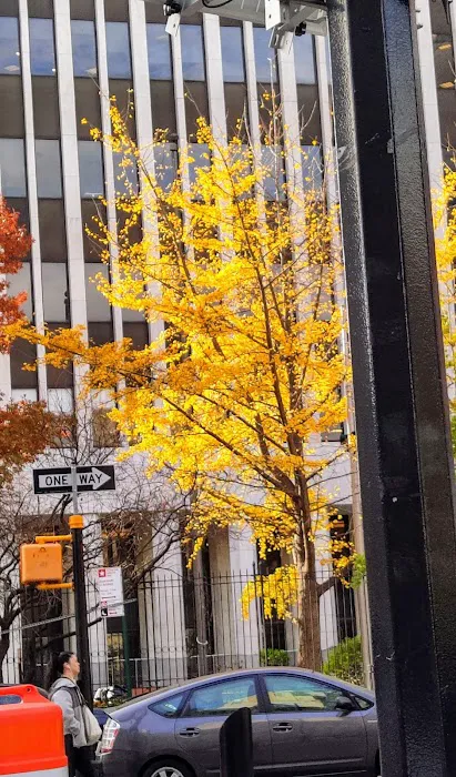 Quezada Restaurant corp. Picture 5