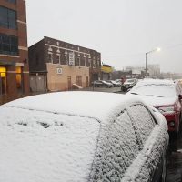 Boro Park SEDER Matzah Bakery ico