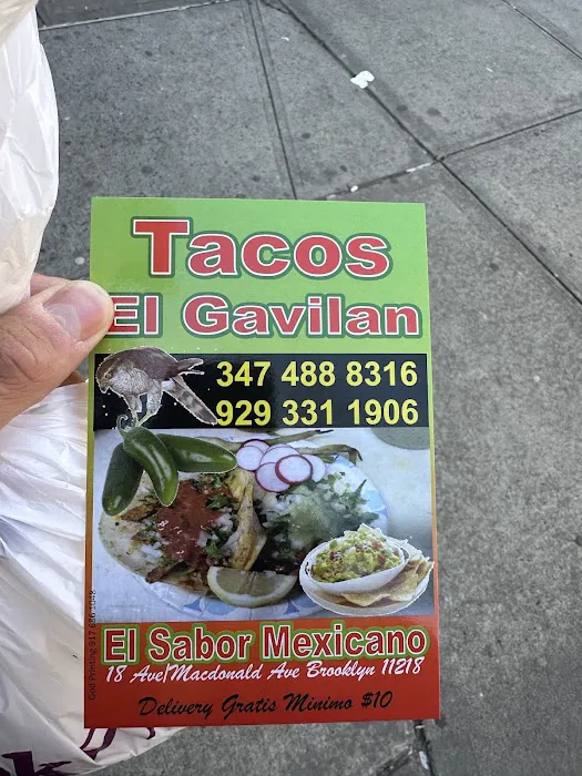 Tacos El Gavilan Picture 2