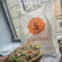 Schreiber's ico