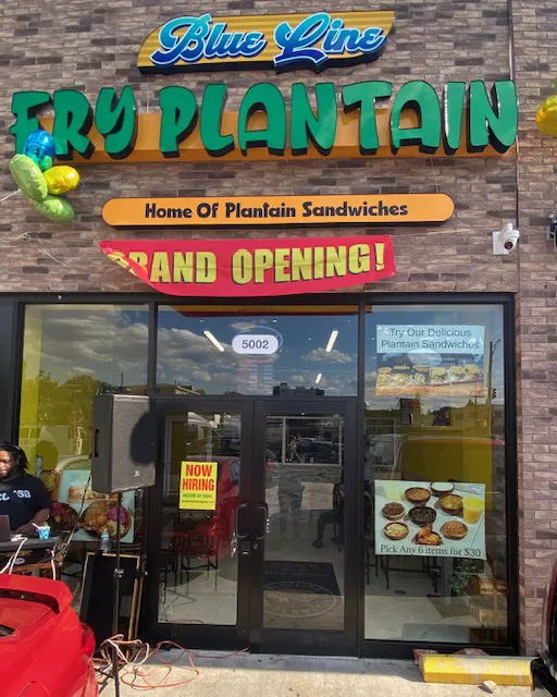 Blueline Fry Plantain Picture 5