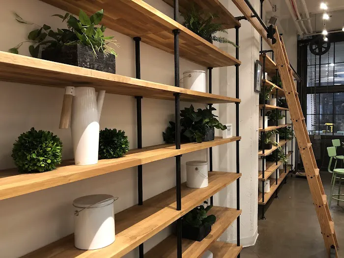 FRYING PAN BROOKYLN Picture 7