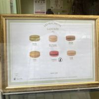 Ladurée ico
