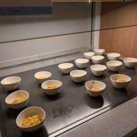 Capital One Lounge at JFK ico