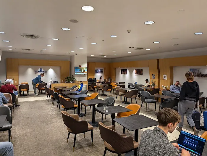 Air India Maharaja Lounge Picture 5