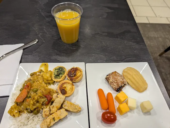 Air India Maharaja Lounge Picture 8