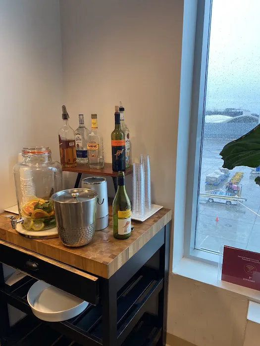 Air India Maharaja Lounge Picture 4