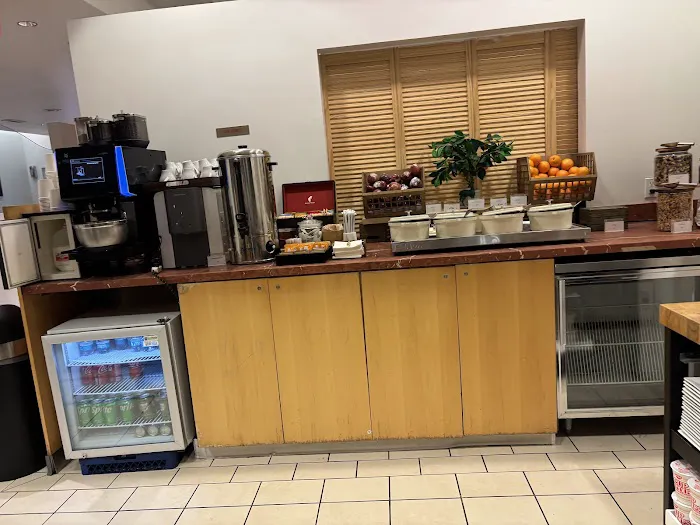 Air India Maharaja Lounge Picture 3