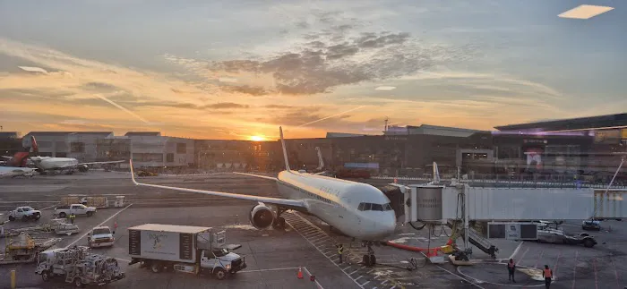 Buffalo Wild Wings Picture 2