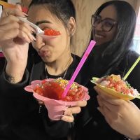 Koolkidzsnowcones ico