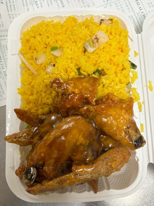 No 1 Halal Kitchen Picture 4