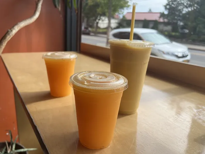 Zion Organic Juice Bar Picture 8