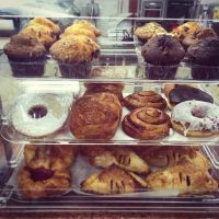 Spring Break Deli ico