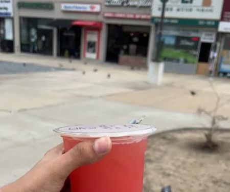 Anda Boba Tea & Red Mango in Bayside, Oakland Garden NY