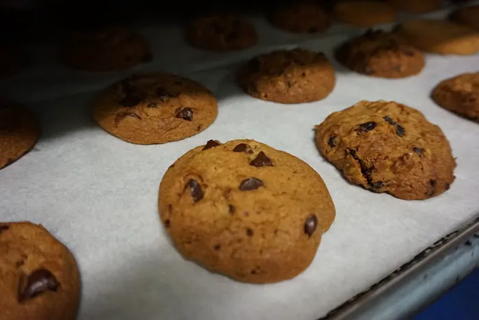 Star Mountain Coffee Picture 1