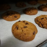 Star Mountain Coffee ico