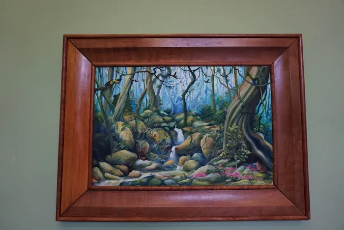 Star Mountain Coffee Picture 5