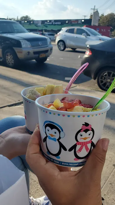 Frozen Planet Yogurt Picture 5