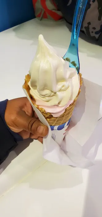 Frozen Planet Yogurt Picture 2