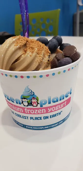 Frozen Planet Yogurt Picture 1