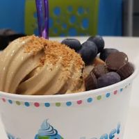 Frozen Planet Yogurt ico