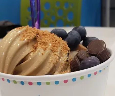 Frozen Planet Yogurt