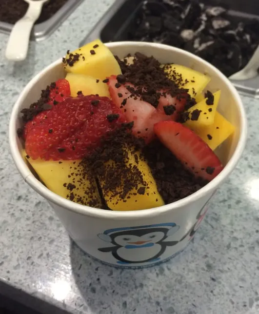 Frozen Planet Yogurt Picture 3