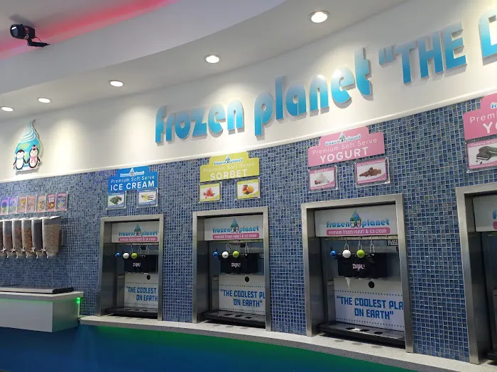 Frozen Planet Yogurt Picture 10