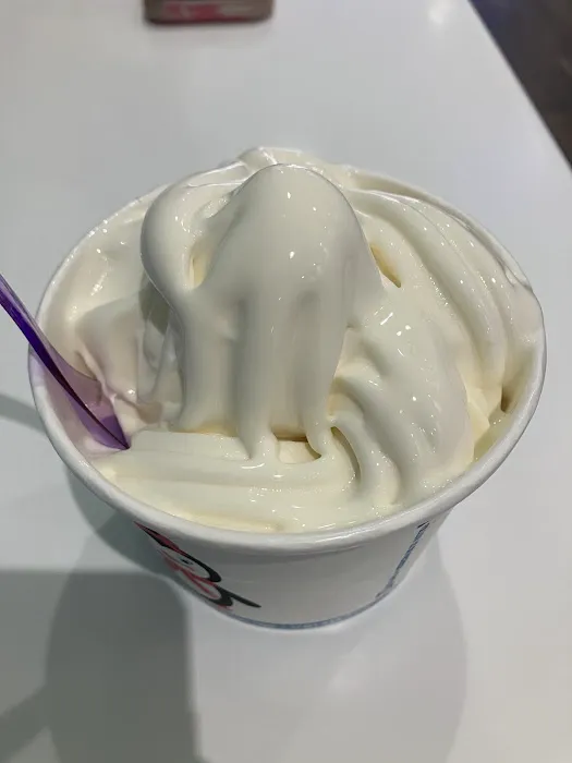 Frozen Planet Yogurt Picture 4