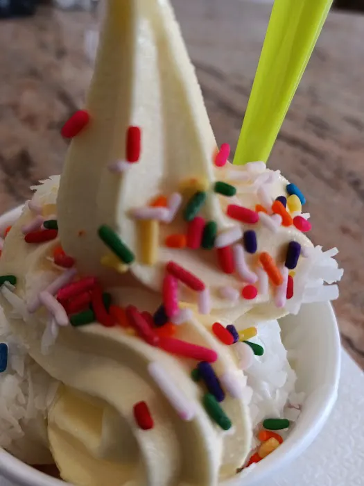 The Brooklyn Fro-Yo Picture 1