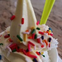 The Brooklyn Fro-Yo ico