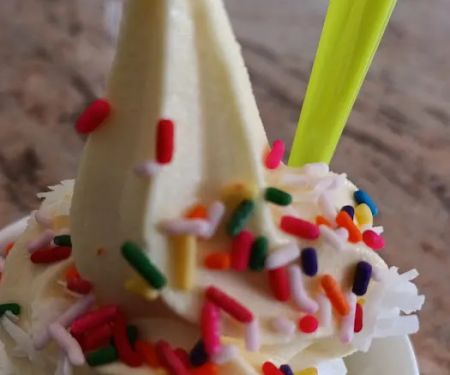 The Brooklyn Fro-Yo