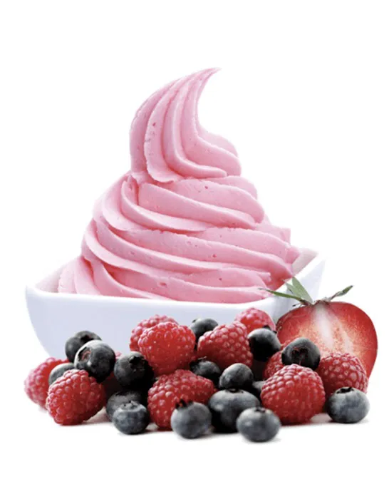 The Brooklyn Fro-Yo Picture 7