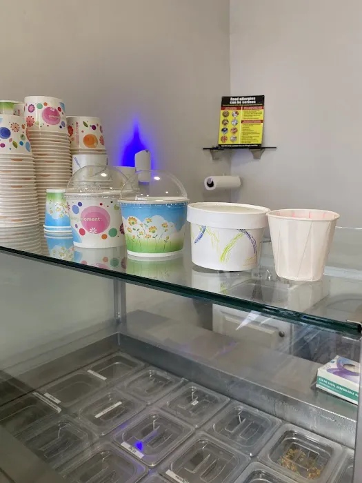 The Brooklyn Fro-Yo Picture 9
