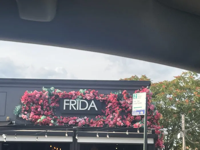 Frida Picture 2